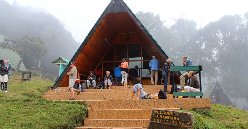 Kilimanjaro Day Hike